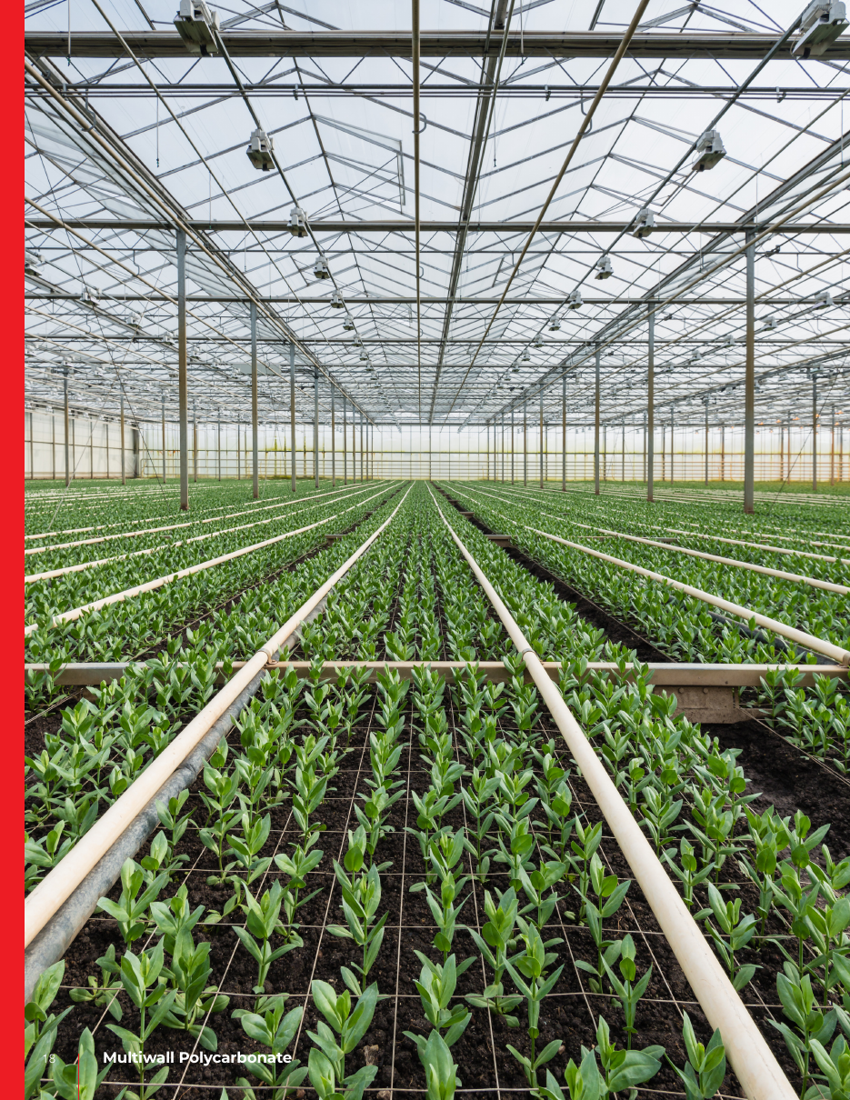 Commercial greenhouse with multiwall glazing